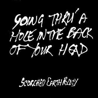 Going Thru' A Hole in The Back LP - Flying Out