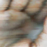 Blood Music: Pentamerous Metamorphosis