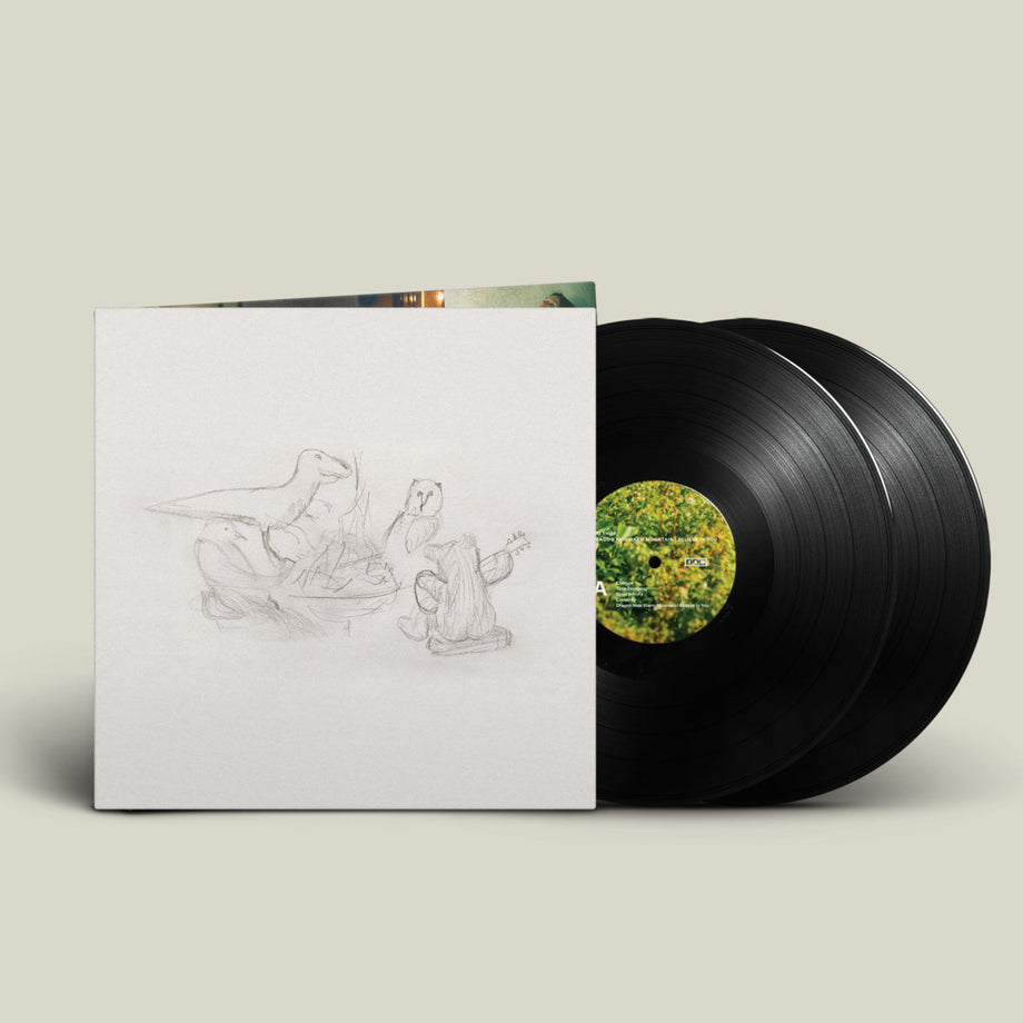 BIG THIEF - Dragon New Warm Mountain I Believe In You (Vinyl 2LP) – Flying  Out