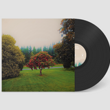 Foothills (Vinyl LP)