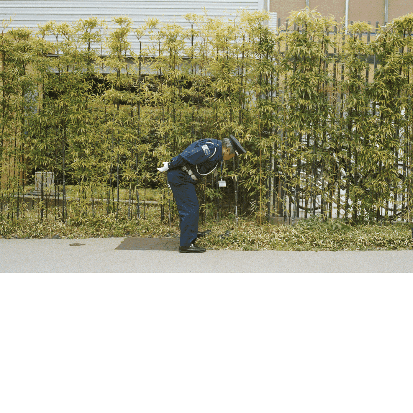 Good Luck And Do Your Best - Flying Out