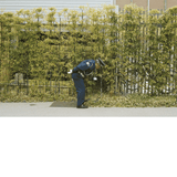 Good Luck And Do Your Best - Flying Out