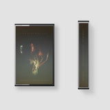 Waking The Dreaming Body