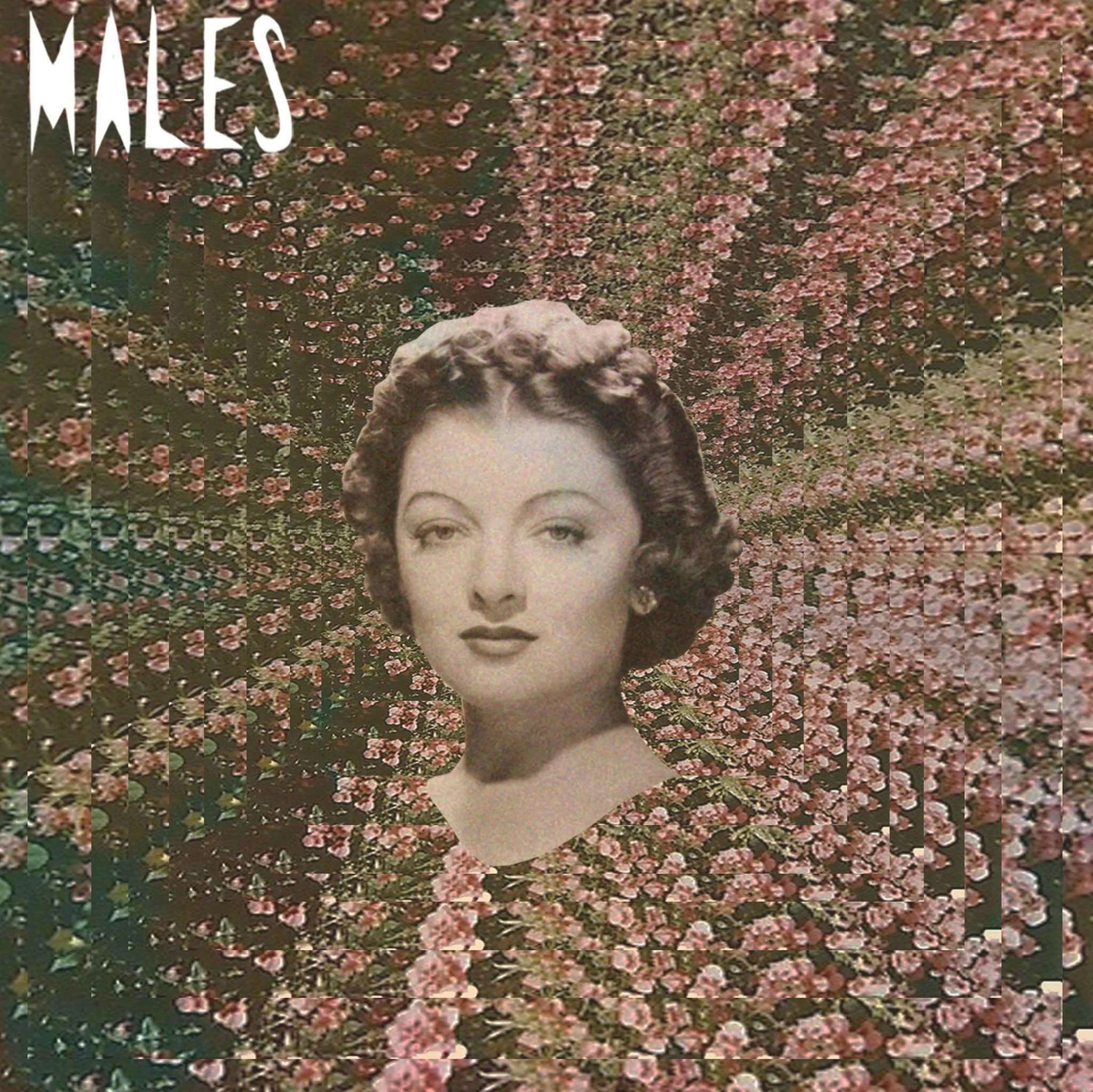 Run Run Run/Males Males Males - Flying Out