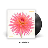 Knucklebones (Vinyl LP)