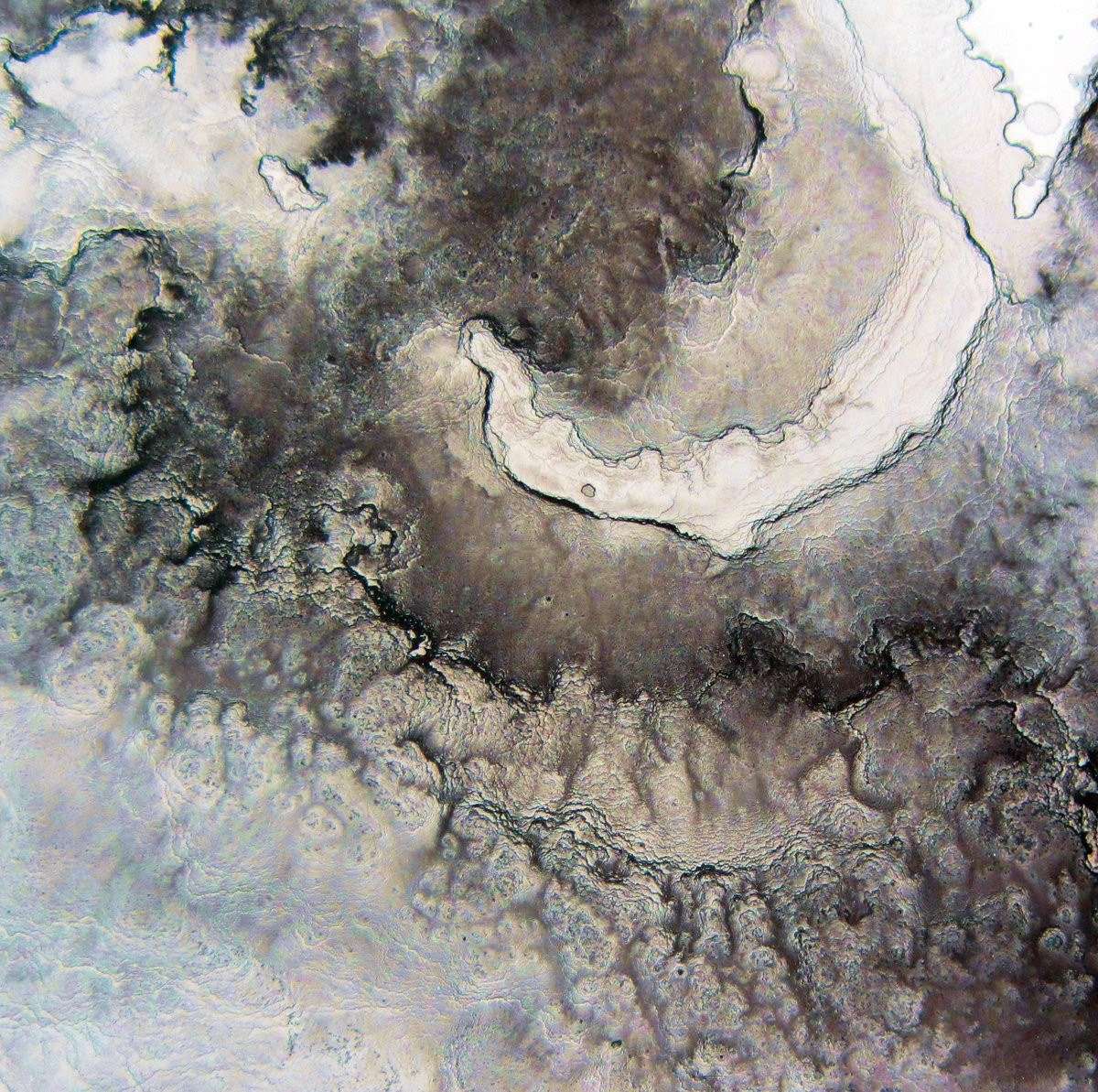 Permutations - Flying Out