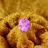 A Golden Brain