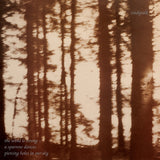 The Wind Is Strong... (Reissue)