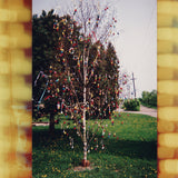 A Golden Brain (Reissue)