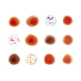 Scratch My Back & I'll Scratch Yours