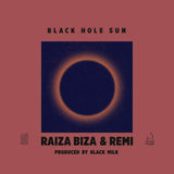 Black Hole Sun