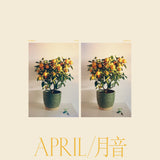 APRIL/ 月音