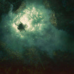 Companion - Flying Out