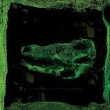 Down There (2021 Reissue)