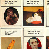 Know Your Lloyd Pack