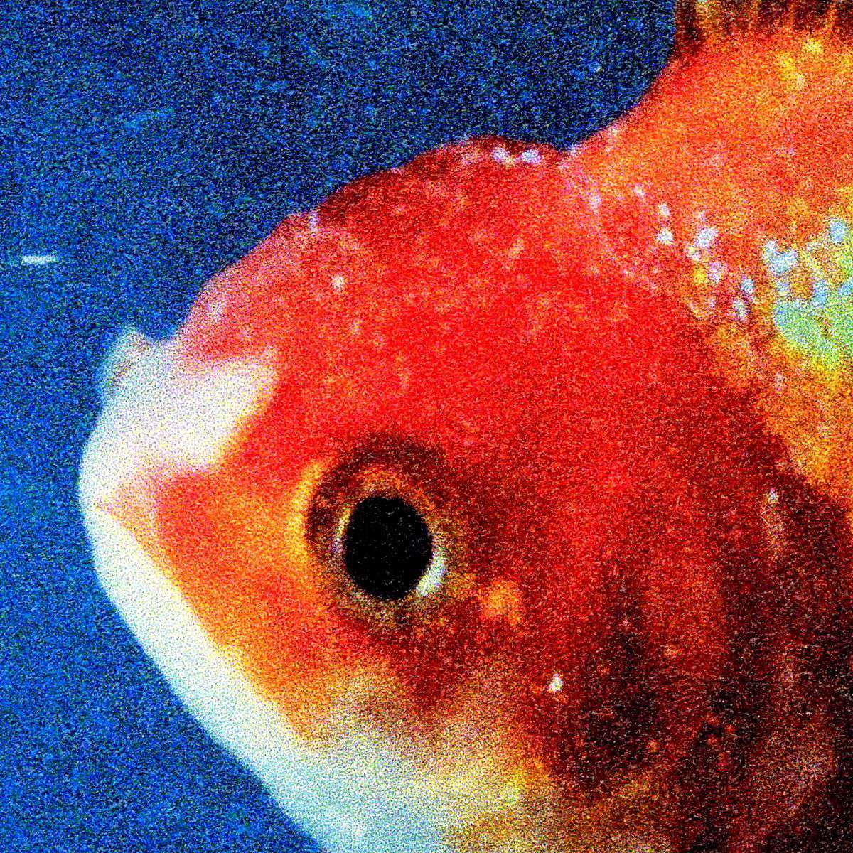 Fish Feay VINCE STAPLES - Big Fish Theory – Flying Out