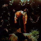 worm food (Vinyl LP)